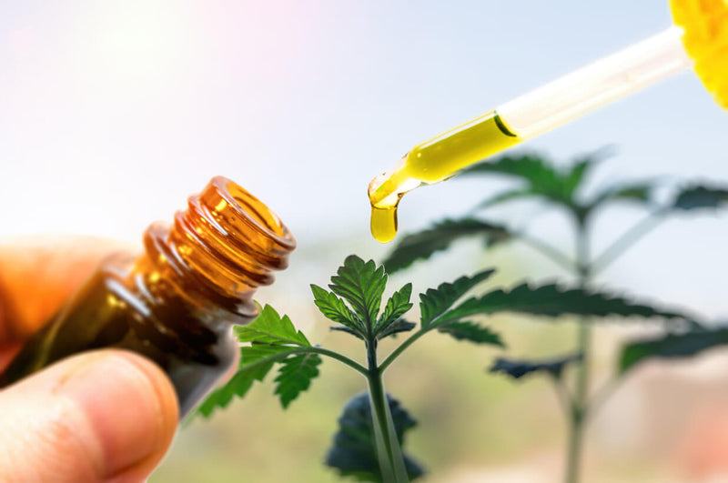 Benefits of Hemp Oil