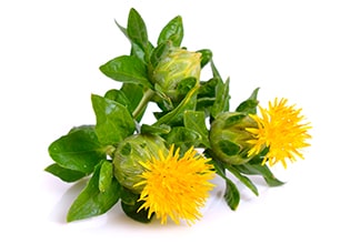 Carthamus Tinctorius (Safflower) Seed Oil*