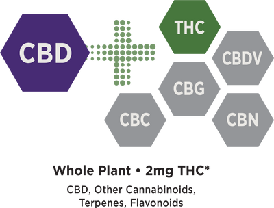 Medterra Launches Our True Full Spectrum CBD Line