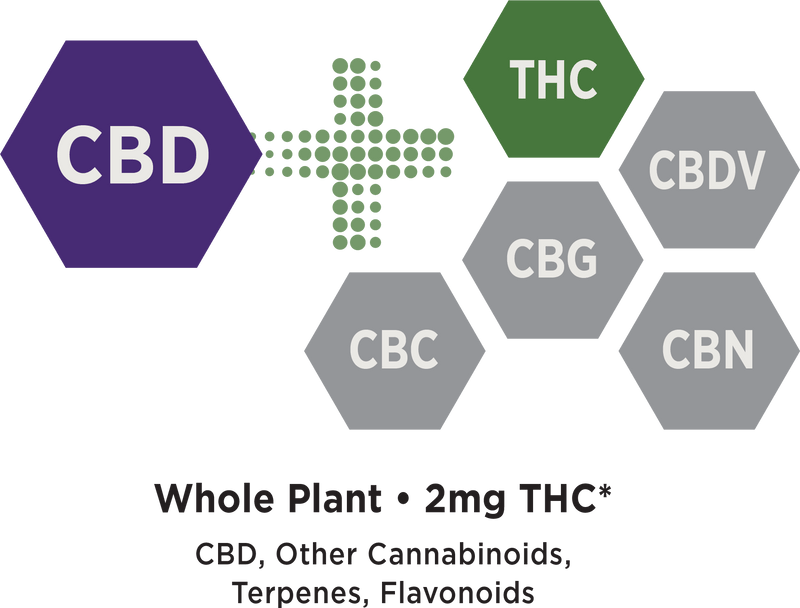 Medterra Launches Our True Full Spectrum CBD Line