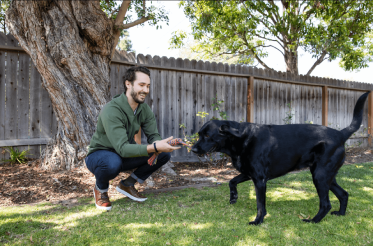 Dogs & Fireworks: How to Prepare Your Dogs for Fourth of July & Beyond